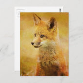 ザキツネイン・ザ・ウッド ポストカード (正面/裏面)