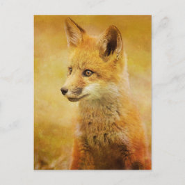 ザキツネイン・ザ・ウッド ポストカード