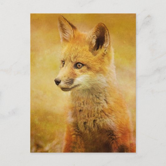 ザキツネイン・ザ・ウッド ポストカード (正面)