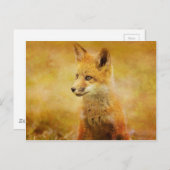 ザキツネイン・ザ・ウッド ポストカード (正面/裏面)