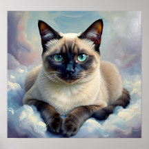 ザキャッツニャー