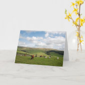 ザキャットアンドフィドルインハガキ カード (黄色い花)