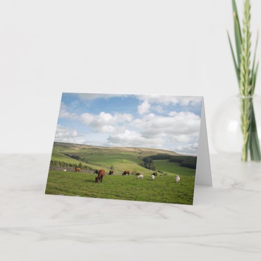 ザキャットアンドフィドルインハガキ カード (正面)