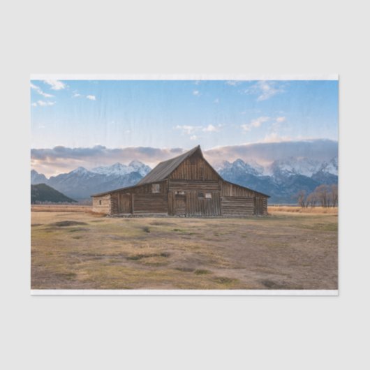 ザキャビンイズティッピングズハットティッシュペーパー 薄葉紙 (正面)