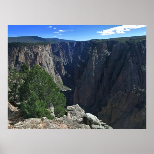 ザキャム ポスター (正面)