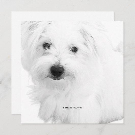 ザキュストマルチーズドッグエバーパーティー 招待状 (正面/裏面)