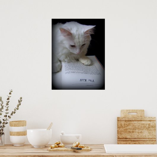 ザキル ポスター (キッチン)