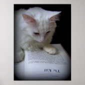 ザキル ポスター (正面)