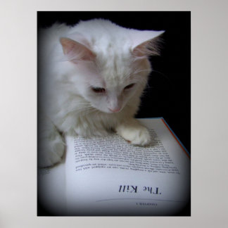 ザキル ポスター