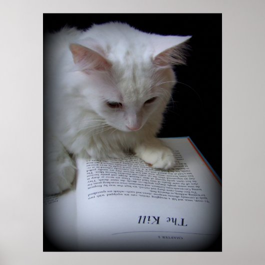 ザキル ポスター (正面)