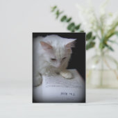 ザキル ポストカード (スタンド正面)