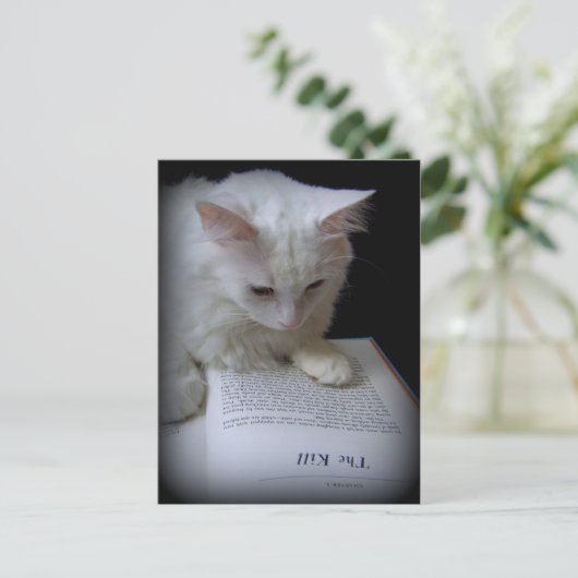 ザキル ポストカード (スタンド正面)