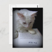 ザキル ポストカード (正面/裏面)