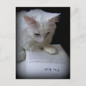 ザキル ポストカード (正面)