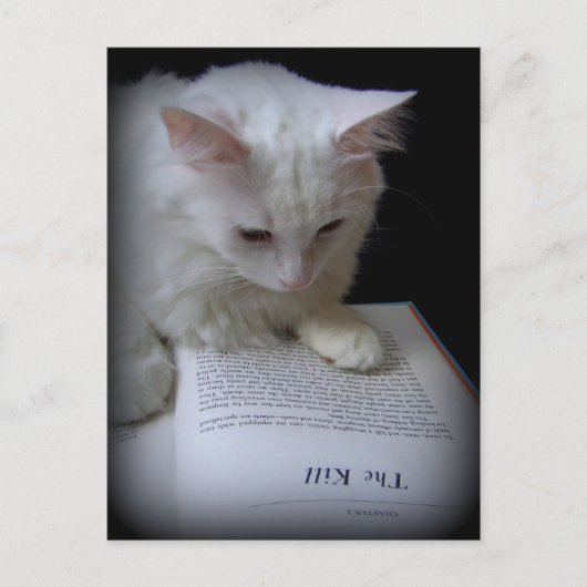 ザキル ポストカード (正面)