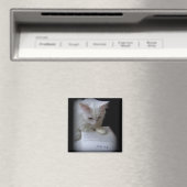 ザキル マグネット (インサイチュ (食洗機))