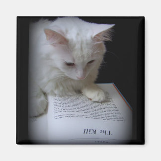 ザキル マグネット