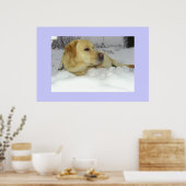 ザキングの雪 – ラブラドールの冬のシーン ポスター (キッチン)