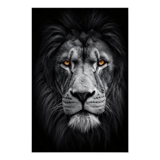 ザキングズ注視 ポスター (正面)