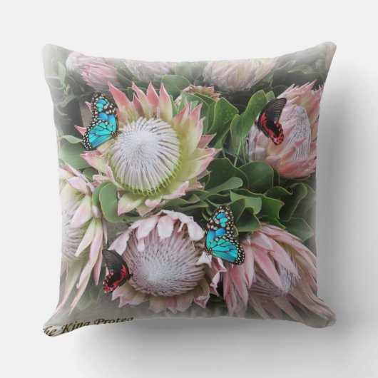 ザキングプロテア クッション (裏面)