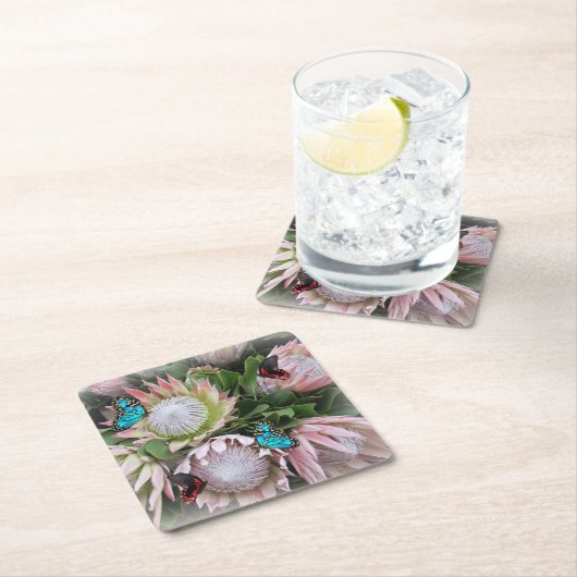 ザキングプロテア スクエアペーパーコースター (インサイチュ)