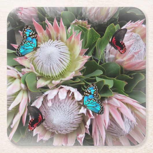 ザキングプロテア スクエアペーパーコースター (正面)