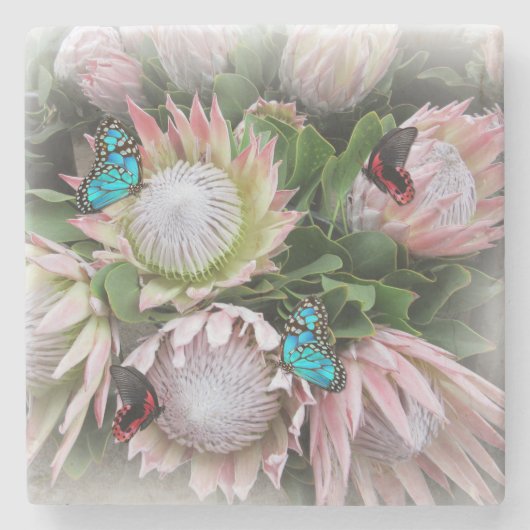 ザキングプロテア ストーンコースター (正面)