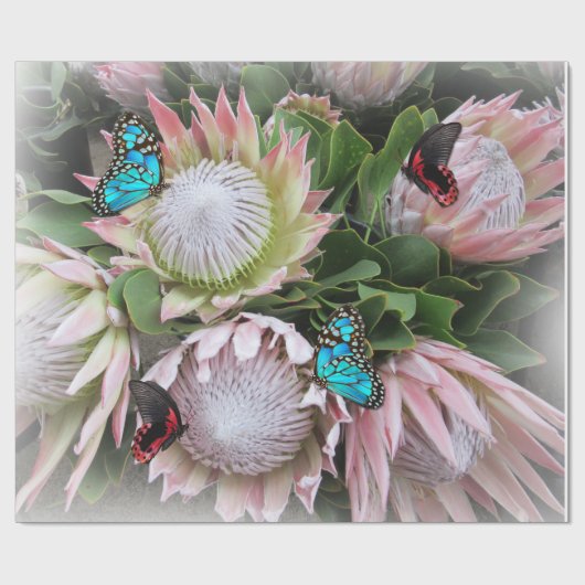 ザキングプロテア ラッピングペーパー (フラット)