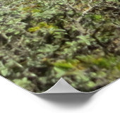 ザキントス,ギリシャ,ナバギオビーチ ポスター (角)