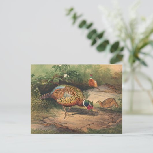 ザキ中国のジアントバイジョセフウルフ ポストカード (スタンド正面)