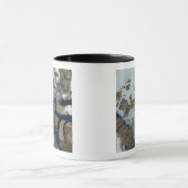 ザクイーンエリザベス諸島 マグカップ (中央)