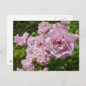 ザクイーンオブスウェーデンバラ ポストカード (正面/裏面)