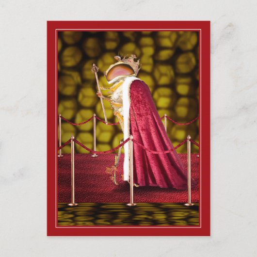 ザクイーンビー ポストカード (正面)