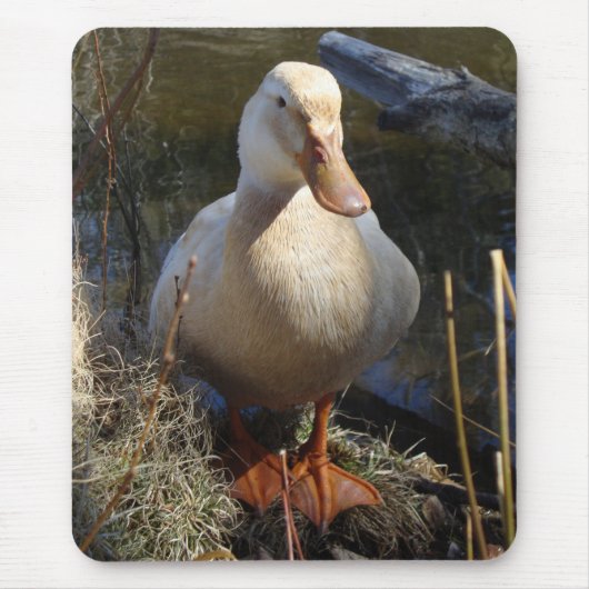 ザクセンのアヒルのマウスパッド マウスパッド (正面)