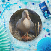 ザクセンのアヒルの紙皿 ペーパープレート (パーティー)