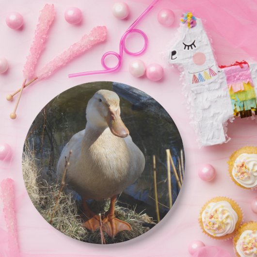 ザクセンのアヒルの紙皿 ペーパープレート (パーティー)