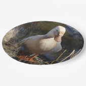 ザクセンのアヒルの紙皿 ペーパープレート (アングル)