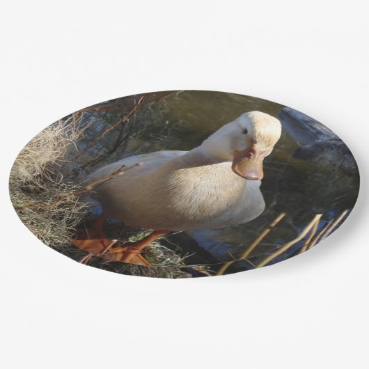 ザクセンのアヒルの紙皿 ペーパープレート (アングル)