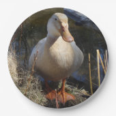 ザクセンのアヒルの紙皿 ペーパープレート (正面)