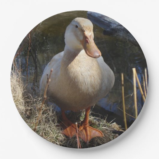ザクセンのアヒルの紙皿 ペーパープレート (正面)