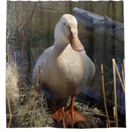 ザクセンのアヒル シャワーカーテン (正面)