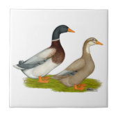 ザクセンのアヒル タイル (正面)