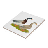 ザクセンのアヒル タイル (側面)