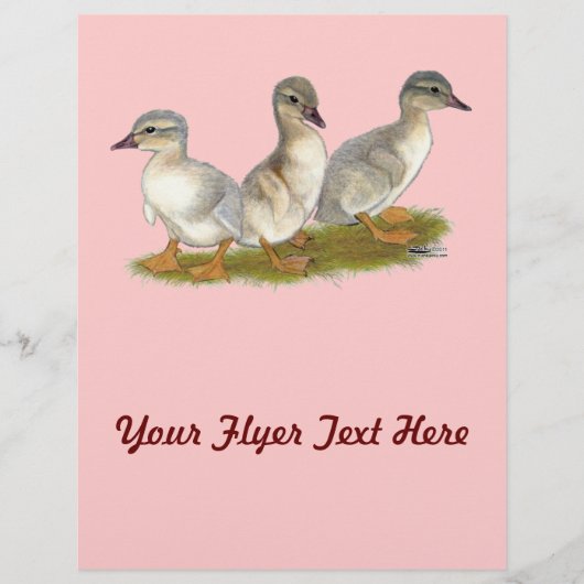 ザクセンのアヒル チラシ (正面)