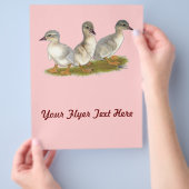 ザクセンのアヒル チラシ (手)