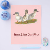 ザクセンのアヒル チラシ (シングル)