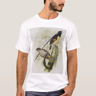 ザクセンの鳥の王パラダイス，男性と女性 Tシャツ