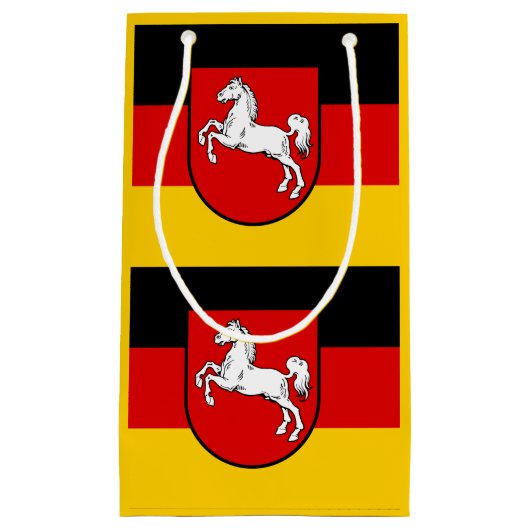 ザクセン州低抱き枕国旗 スモールペーパーバッグ (正面)