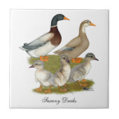 ザクセン・ダックファミリー タイル (正面)