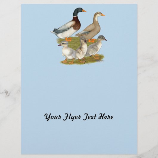 ザクセン・ダックファミリー チラシ (正面)